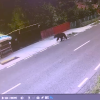 VIDEO S-au trezit cu ursul la poartă, în timp ce se cinsteau în curtea unui magazin