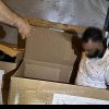 Trei srilankezi găsiți ascunși în cutii de carton, la Nădlac