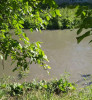 Suceava: Trupul băieţelului de 10 ani dispărut joi în apele râului Siret, recuperat de scafandri