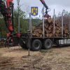 Amezi pentru tăieri ilegale de copaci, în Argeș