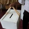 Aproape 2500 de solicitări de votare cu urna mobilă în Argeș