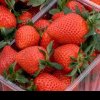 Substanţe periculoase găsite în căpșuni românești, într-o piaţă din Bucureşti
