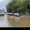 Vremea rea a făcut prăpăd în București: copaci căzuți, case și străzi inundate