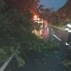 Copaci doborâți de vânt la Băleni și Corbii Mari și o gospodărie inundată la Lungulețu 