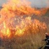 Detașamentul de Pompieri Găești a intervenit  în cazul un incendiu puternic de vegetație uscată