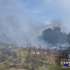 STOP INCENDIILOR! ISU Dâmbovița face apel la populaţie să nu mai dea foc la vegetație în plină CANICULĂ 