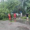 Furtună în Bistrița: Copaci rupți, fire de curent electric smulse. Pompierii din Bistrița, solicitați să intervină pe strada Tănase Todoran