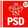 Componență tricoloră la Consiliul Județean Suceava: 17 consilieri PSD, 15 consilieri PNL ...