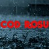 Cod roşu de furtună în judeţul Mehedinţi - Rupere de nori, străzi inundate, acoperişuri luate de vânt, geamuri ale maşinilor sparte de grindină