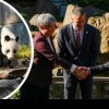 De ce funcționează diplomația panda?