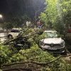 Furtună în Bucureşti şi Ilfov - aproape 400 de intervenţii ale pompierilor; 60 de copaci căzuţi şi 71 de autoturisme avariate