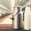 Lupu(Holstein RO ): Ar trebui să se oprească modul în care sume importante pleacă la ferme ce nu produc lapte şi nu au minimum de performanţă