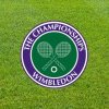 Organizatorii turneului de la Wimbledon au anunţat premii record de 50 de milioane de lire sterline