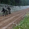 Tensiunea escaladează la granița Poloniei cu Belarus. Ministrul polonez al Apărării: Suntem atacați de grupuri armate și bine antrenate