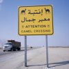 Turcii vor construi drumurile saudite - Arabia Saudită se transformă într-un uriaș șantier, cu investiții de 1,4 trilioane de dolari