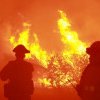 VIDEO FOTO Evacuări şi mii de hectare devastate de incendii de vegetaţie în Los Angeles
