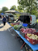 VIDEO Prigoana micilor producători și vânzători: Dispar piețele agroalimentare din Timișoara