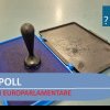EXIT-POLL la alegeri europarlamentare. Sondaj la urne realizat de CURS și Avangarde