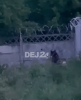 URS văzut în zona Pădurii Bungăr din Dej. S-a trimis RO-Alert locuitorilor din oraș – VIDEO