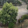 Ploaia torențială a inundat pasajul de la Ceas, din centrul Câmpinei. Mesaj RO-ALERT pentru mai multe localități limitrofe