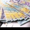 Bani de la stat pentru românii care vor să înceapă o afacere la țară în 2024