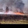 2 hectare de vegetație făcute scrum de un incendiu puternic, la Mija!