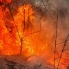 Incendiu puternic de vegetație în Dâmbovița! O suprafață de circa 2000 de metri pătrați a fost cuprinsă de flăcări
