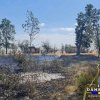 Incendiu puternic de vegetație în Dâmbovița! Pompierii s-au luptat cu flăcările mai bine de 3 ore