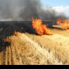 Incendiu puternic la o cultură de orz , în Dâmbovița! O suprafață de 3 hectare distrusă de flăcări
