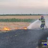Incendiu violent în Dâmbovița! Suprafață de 1500 de metri pătrați de vegetație, cuprinsă de flăcări