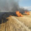 Un lan de grâu a luat foc în Dâmbovița! O suprafață de aproximativ un hectar a fost cuprinsă de flăcări puternice