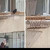 Pisică abandonată pe un balcon din Cluj, în timpul caniculei: Care ți-ai lăsat pisica pe balcon, pe căldurile astea?
