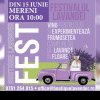 Boutique Lavender Fest se intoarce la Mereni: O sarbatoare a lavandei si a relaxarii