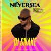 DJ Snake, Tinie Tempah si Dimitri Vegas se alatura lineup-ului Neversea