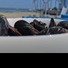 Oficial de la DSVSA Constanta despre interzicerea pescuitului de rapane si moluste din Marea Neagra