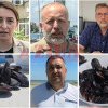 S-a dat alarma pe Litoral: Pescuitul midiilor si rapanelor, interzis! Vezi declaratii