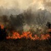 Incendii masive de vegetație în Grecia și Turcia, din cauza caniculei. Cinci persoane au murit și alte zeci sunt rănite