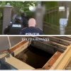 VIDEO. Percheziții la doi tineri bănuiți că au furat un seif dintr-o casă din Moșnița Nouă. Prejudiciu de 45.000 de euro