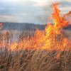 Incendiu de vegetaţie la Cornu de Sus – comuna Dumbrava
