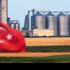 IMPACTUL ASUPRA PIEȚEI GLOBALE Turcia interzice vremelnic importul de grâu