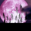 Luna roz de solstițiu: O vizualizare rară pe 21 Iunie