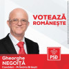 Negoiţă Gheorghe, primar Brăești: „Vom moderniza comuna cu fonduri europene!”