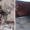 Cluj: Scorpion fotografiat de un clujean în apropierea unei ghene de gunoi din Mănăștur! A găsit și un șarpe în același loc - FOTO