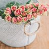 Clujenii sunt invitați să vadă trandafirii Stațiunii din Gheorgheni! Oaza de frumusețe a USAMV se deschide în 8 iunie pentru vizită