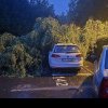 Copac căzut pe o mașină in Cluj . ”Dacă îl cunoaște cineva, să îl anunțe !” FOTO