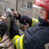 Intervenție inedită pentru pompierii clujeni: Un porumbel a rămas prin sub streașina unei locuințe din Florești Cluj