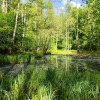 Lacul Tarnița din Munții Berzunți: Un colț de rai în mijlocul pădurii