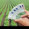 Guvernul a suplimentat limita de credite pentru Ministerul Agriculturii