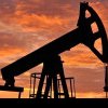 OPEC menține previziunile privind creşterea cererii globale de petrol 