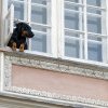 Tot mai multe hoteluri și pensiuni din România acceptă turiști cu câini și pisici